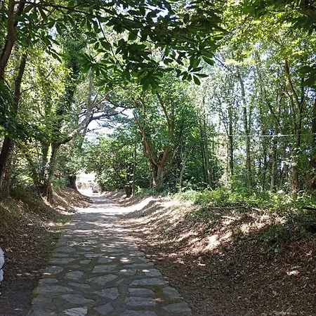 Fontanina 公寓